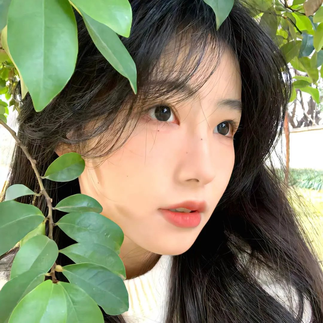 我的新野蛮女友